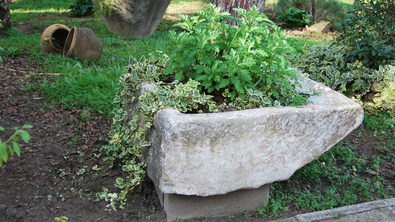 Photo of Outdoor in Baeza