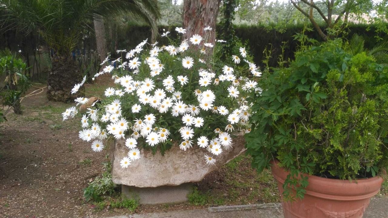 Photo of Outdoor in Baeza