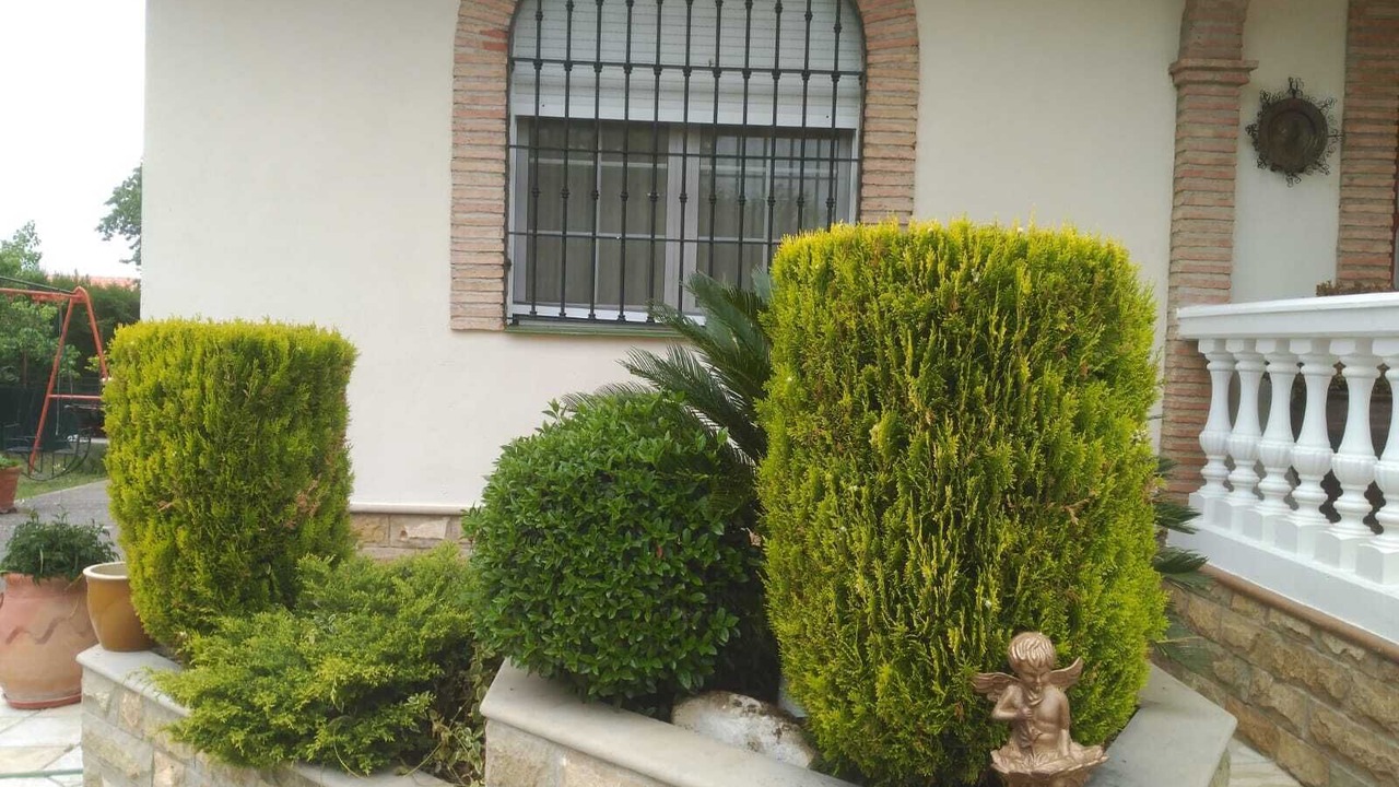 Photo of Outdoor in Baeza