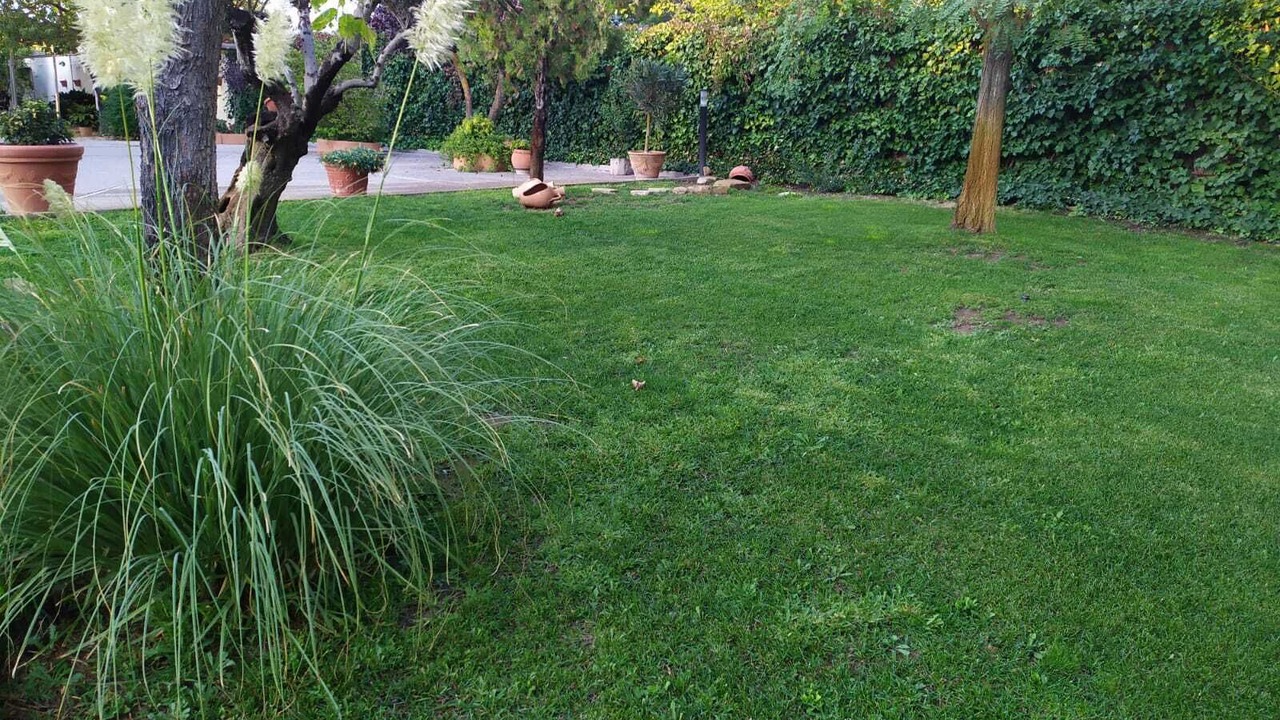 Photo of Outdoor in Baeza