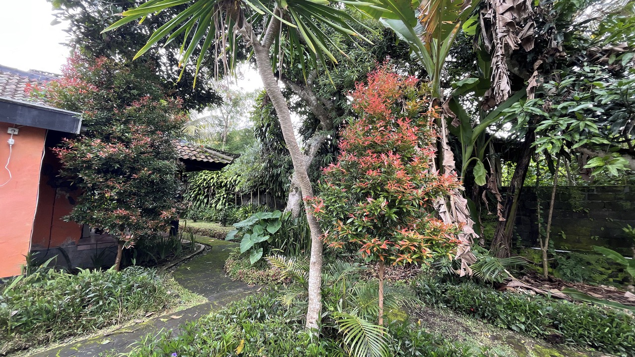 Photo of Outdoor in Toya Bungkah