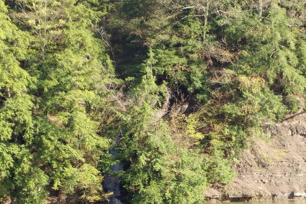 Photo of Others in Rushford Lake