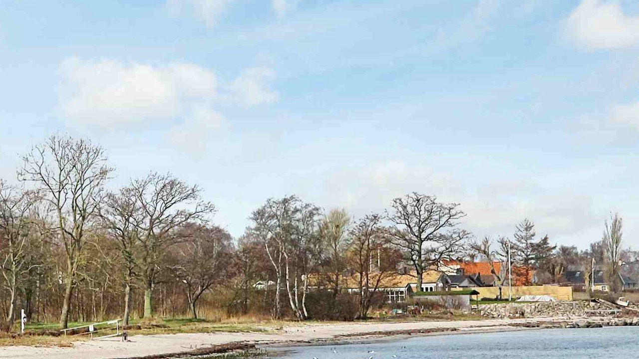 Photo of Others in Strøby Ladeplads
