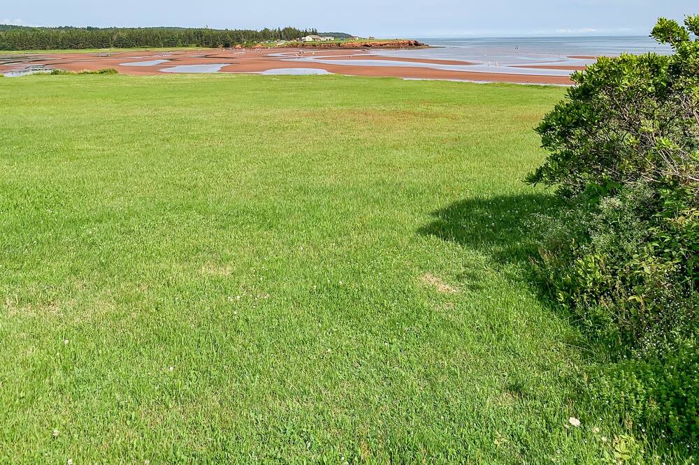 Photo of Others in Canoe Cove
