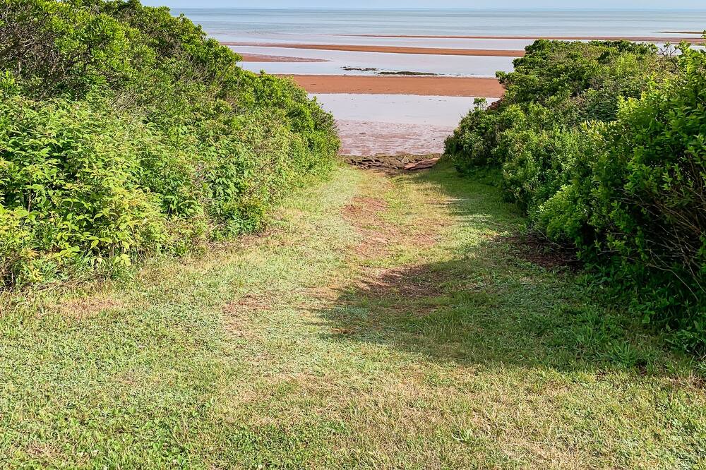 Photo of Others in Canoe Cove