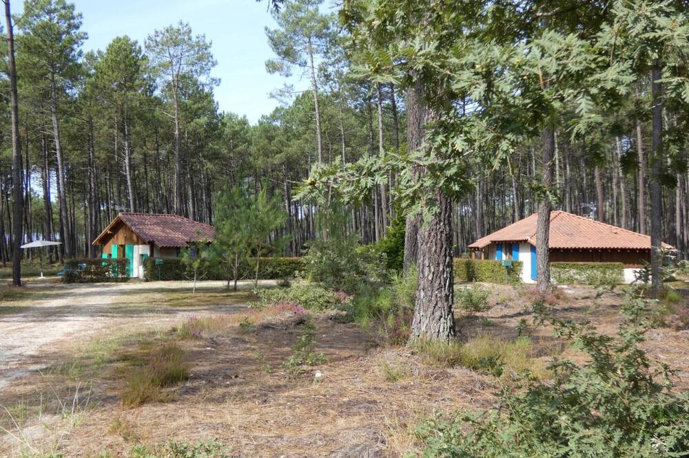 Photo of Others in Callen