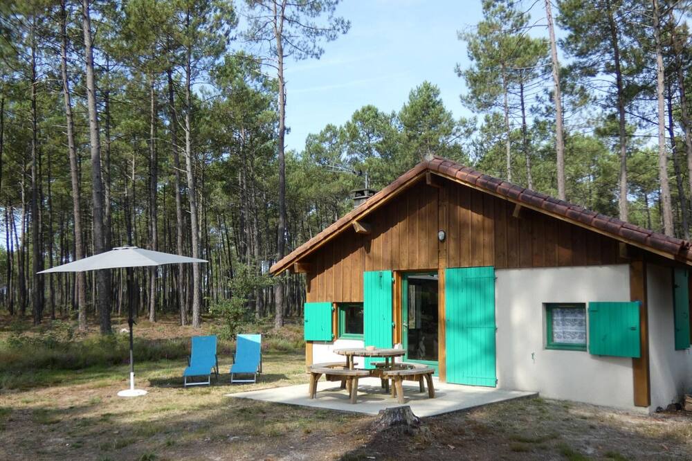 Photo of Others in Callen