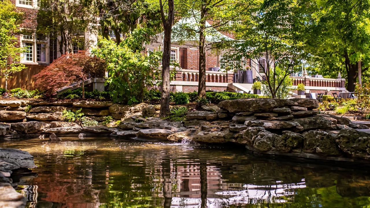 Photo of Outdoor in Maple Ridge