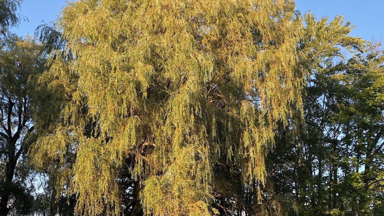 Photo of Outdoor in Millerton