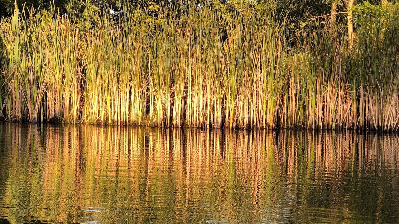 Photo of Others in Millerton