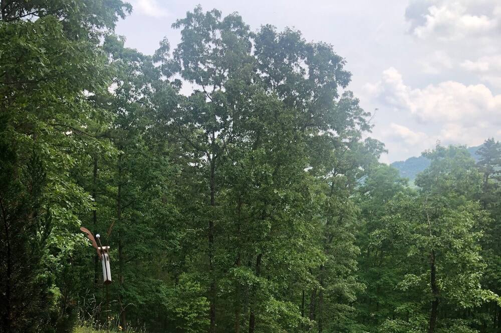 Photo of Outdoor in Murphy