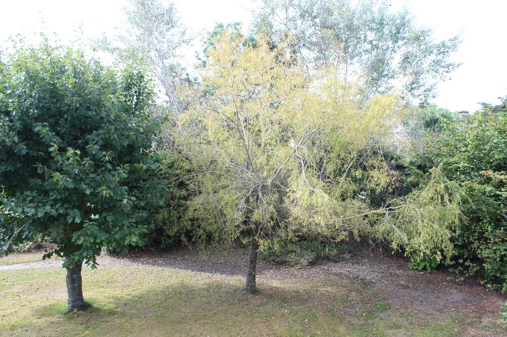 Photo of Outdoor in Saint-Gildas-de-Rhuys