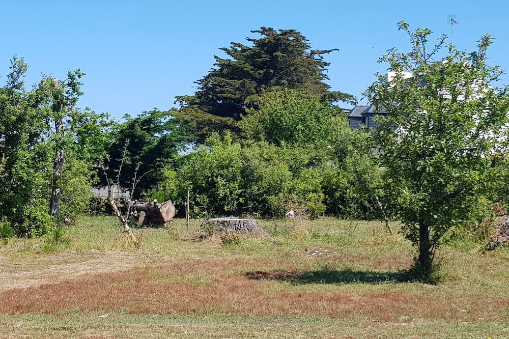 Photo of Outdoor in Saint-Gildas-de-Rhuys