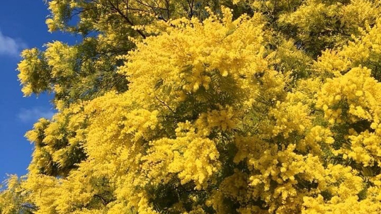 Photo of Outdoor in Callas