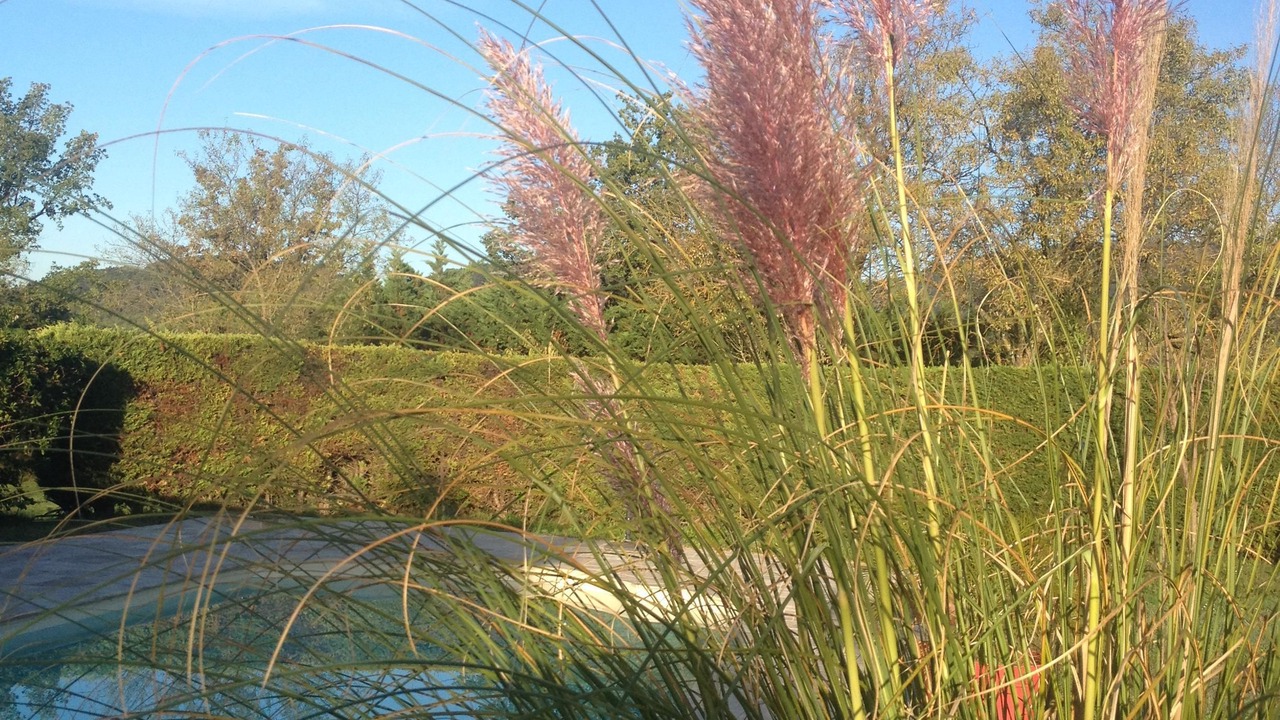 Photo of Outdoor in Callas