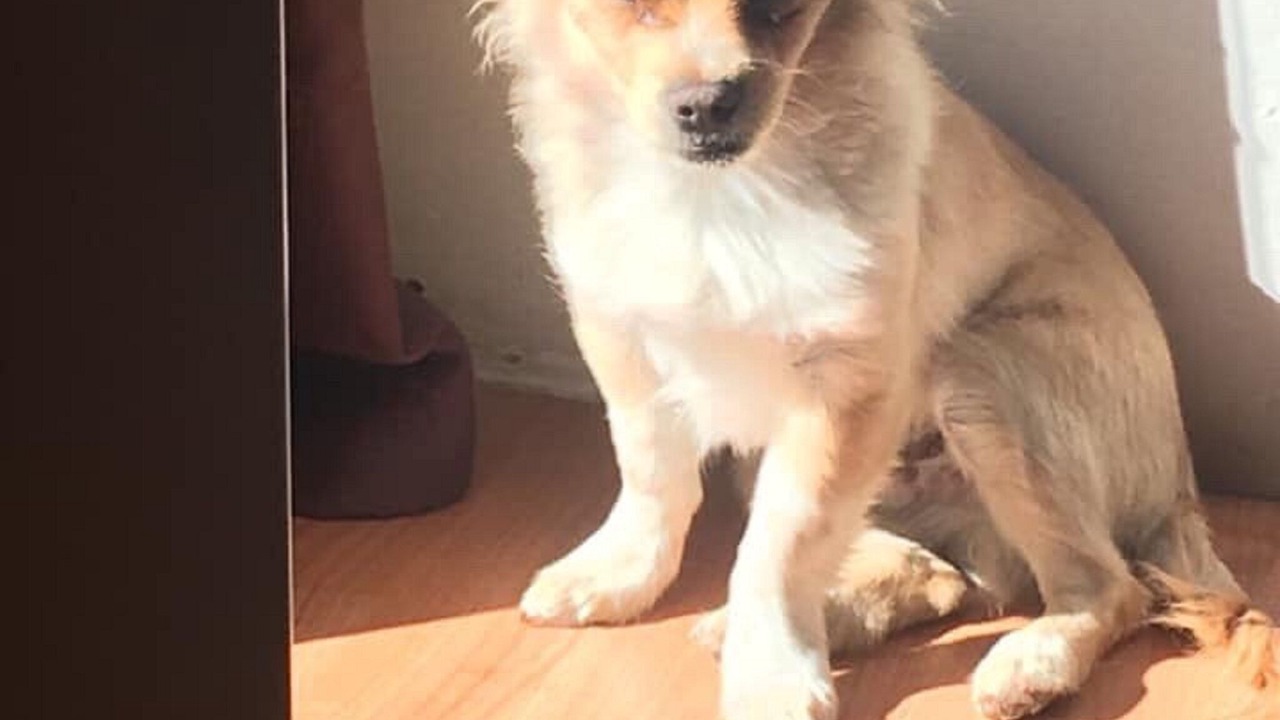 Photo of Others in Callas