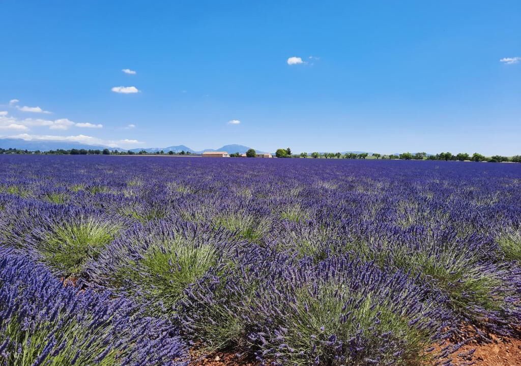 Photo of Outdoor in Salernes