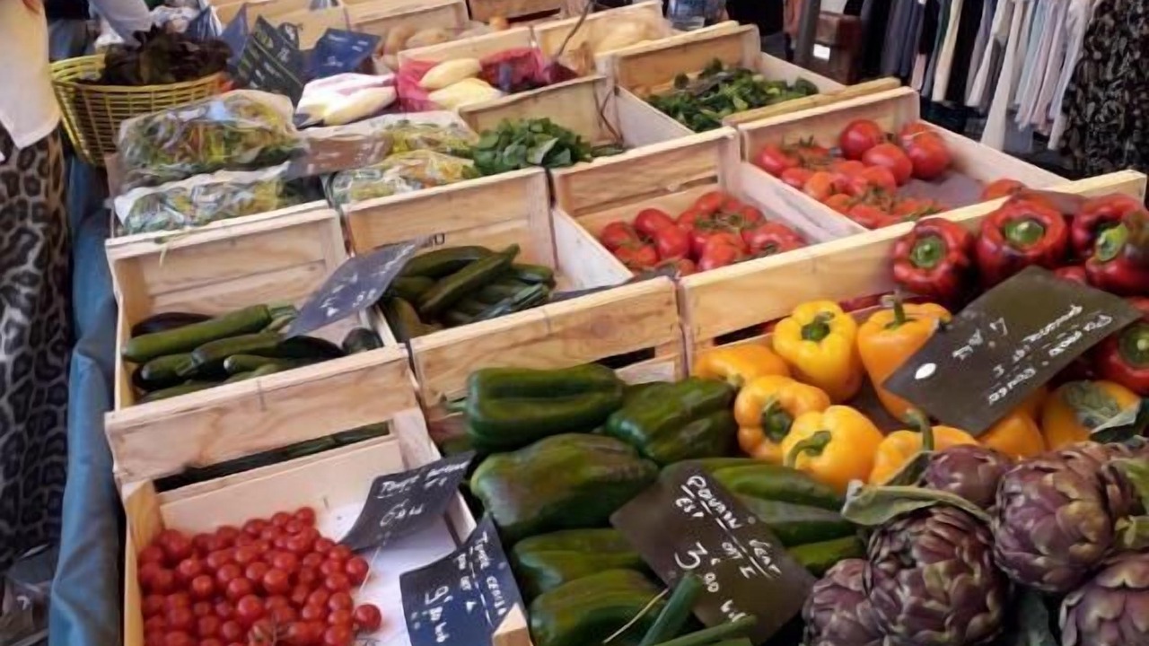 Photo of Others in Salernes