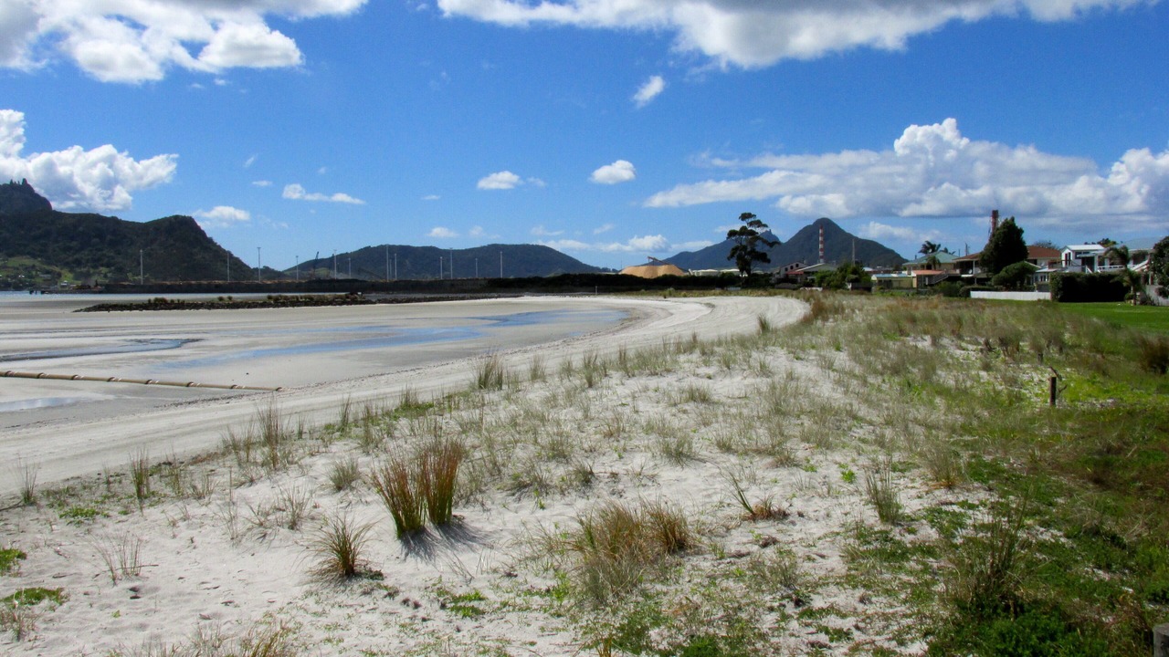 Photo of Others in One Tree Point