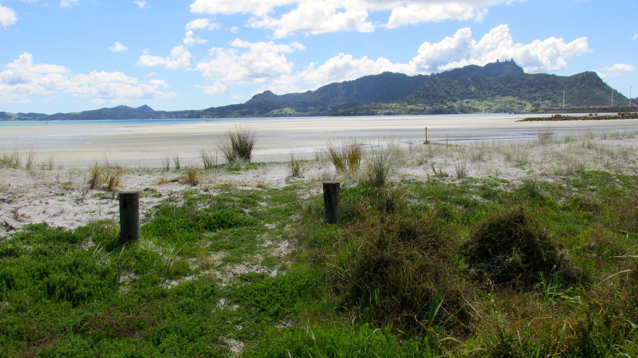 Photo of Others in One Tree Point