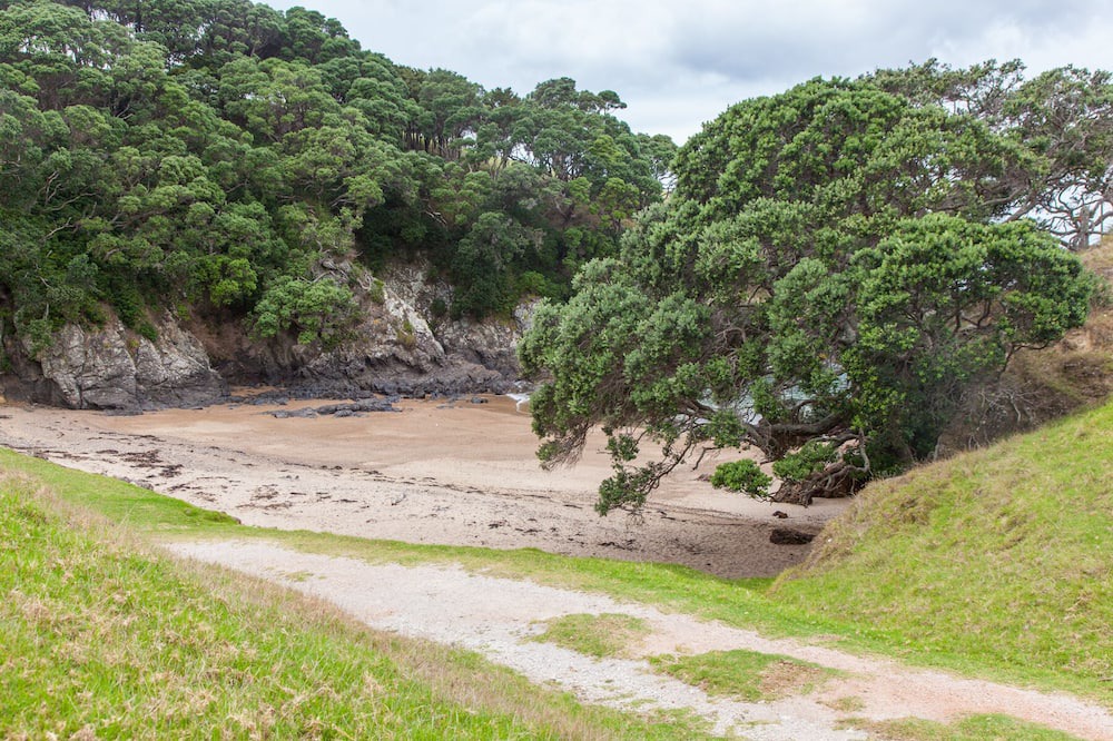 Photo of Outdoor in Taiharuru