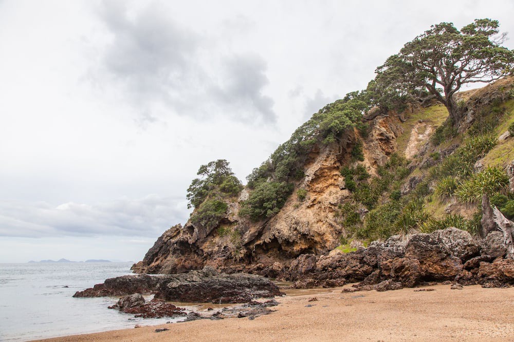 Photo of Others in Taiharuru