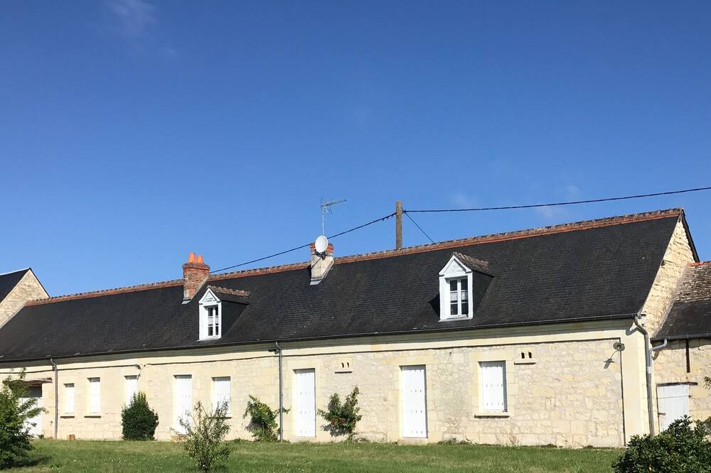 Photo of Outdoor in Bourgueil