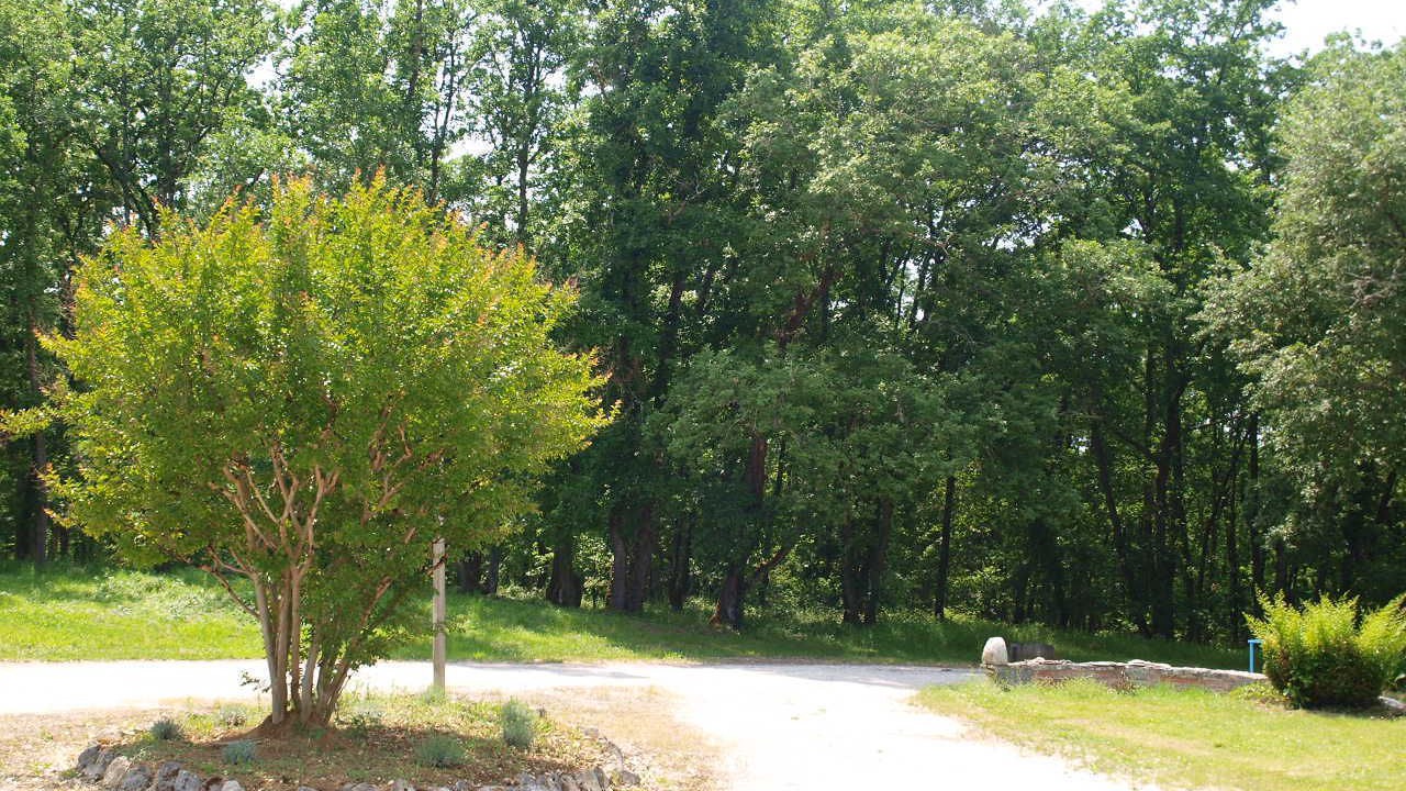 Photo of Outdoor in Feugarolles