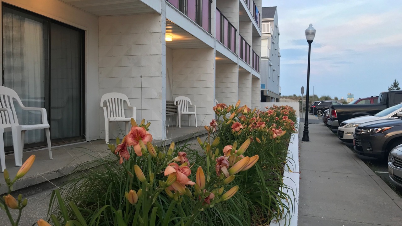 Photo of Outdoor in Midtown Ocean City