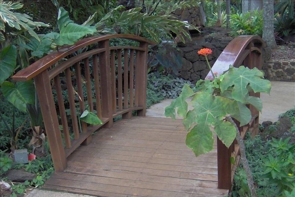 Photo of Others in Poipu