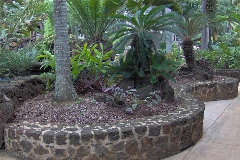 Photo of Others in Poipu