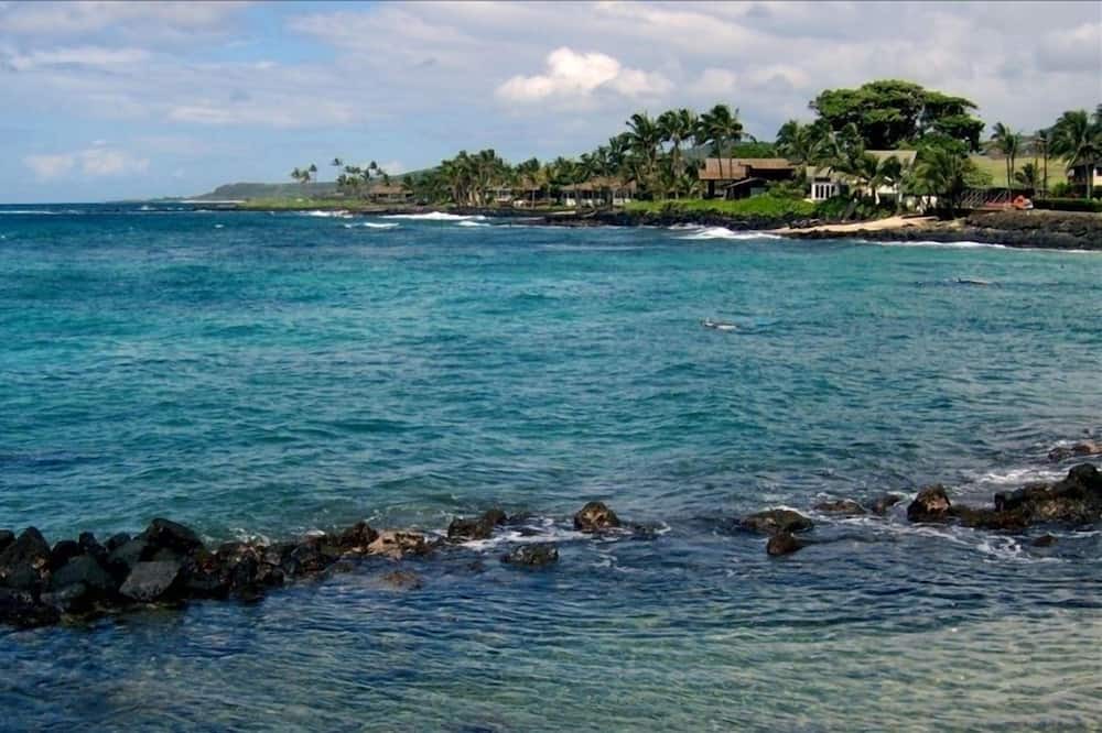 Photo of Others in Poipu