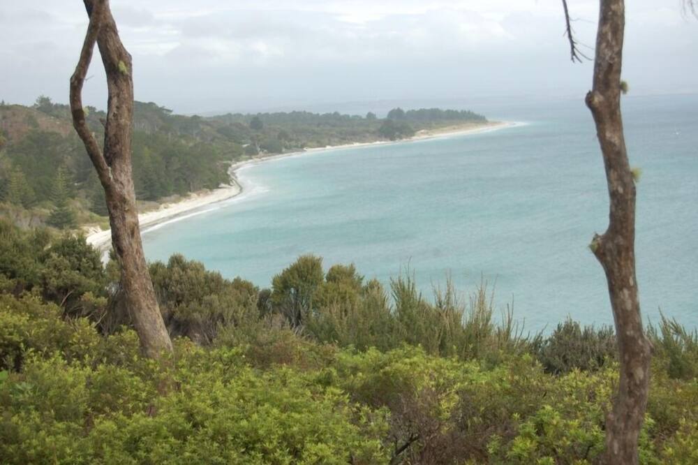 Photo of Others in Rangiputa