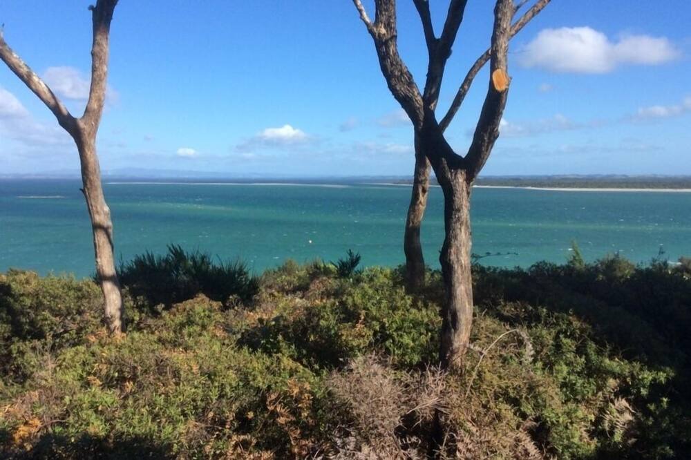 Photo of Others in Rangiputa