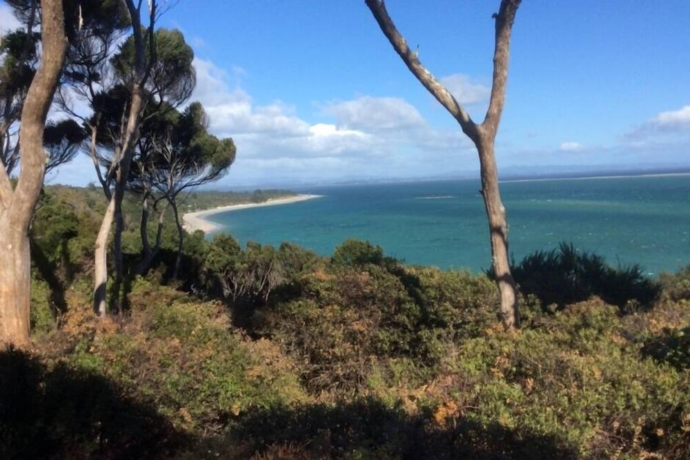 Photo of Others in Rangiputa