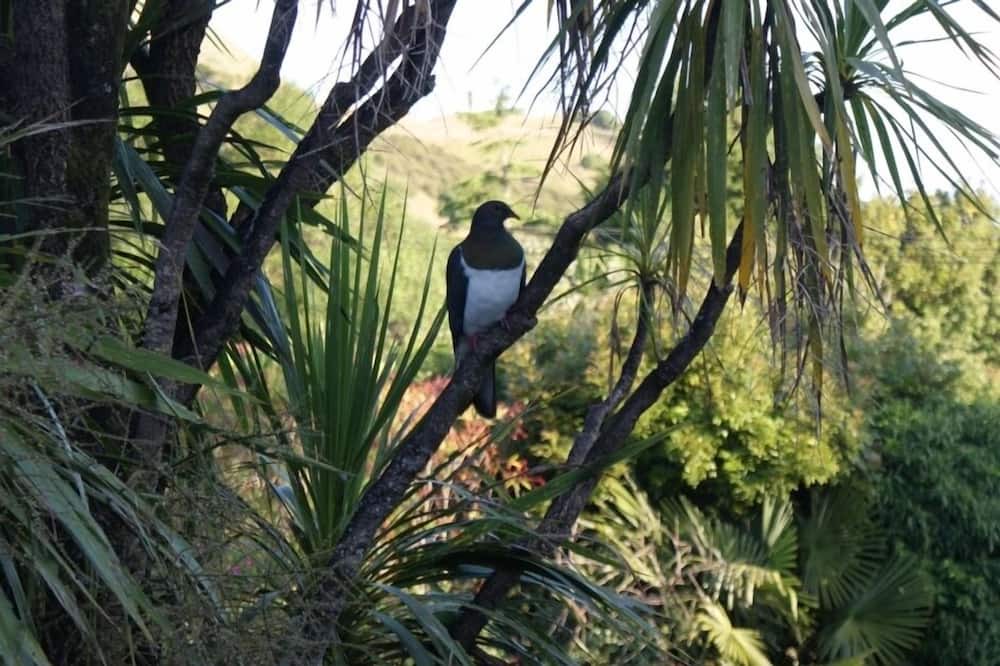 Photo of Others in Tangoio