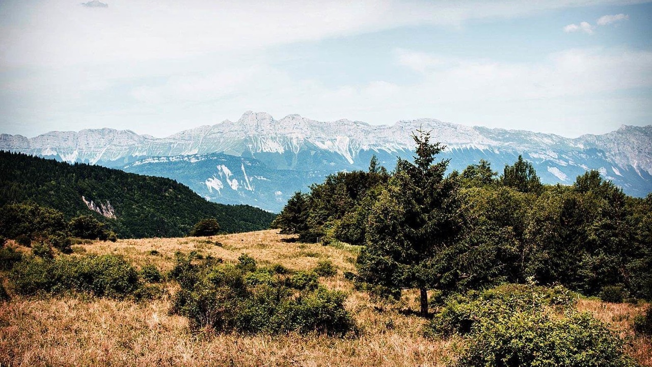 Photo of Others in Uriage-les-Bains