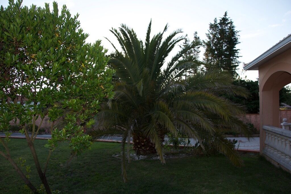 Photo of Outdoor in Bourgneuf-en-Retz