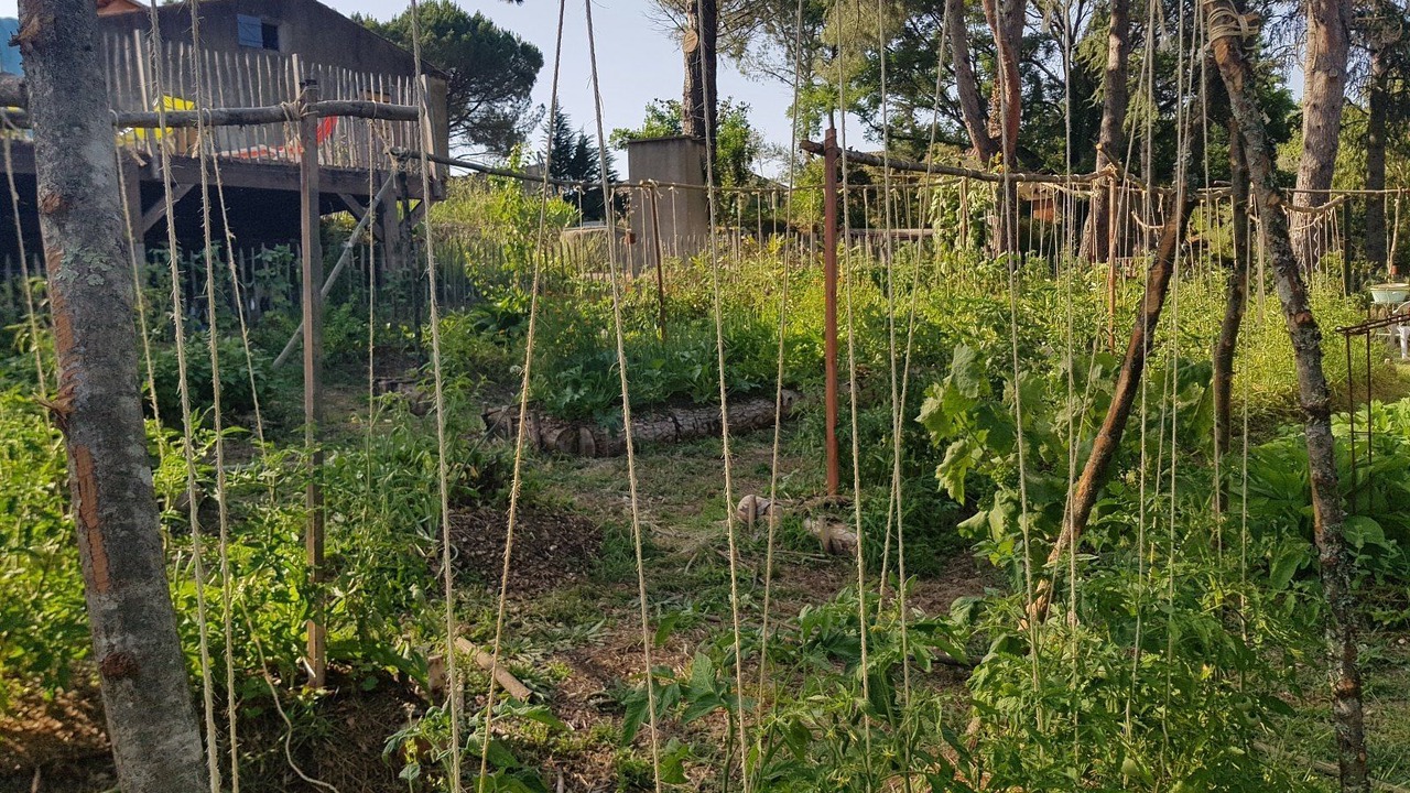 Photo of Outdoor in Saint-Bauzille-de-Putois