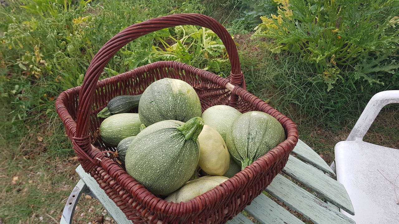 Photo of Outdoor in Saint-Bauzille-de-Putois