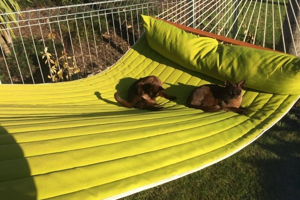 Photo of Others in Kerikeri