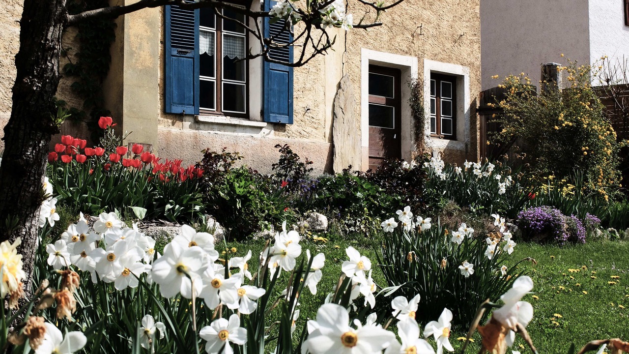 Photo of Outdoor in Aime