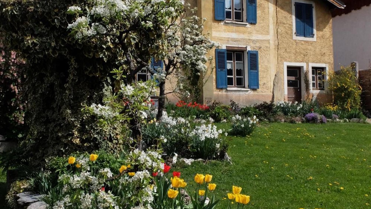 Photo of Outdoor in Aime