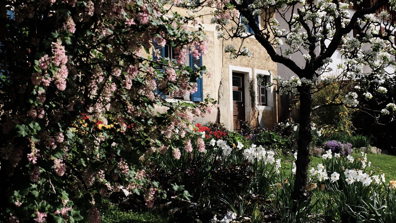Photo of Outdoor in Aime
