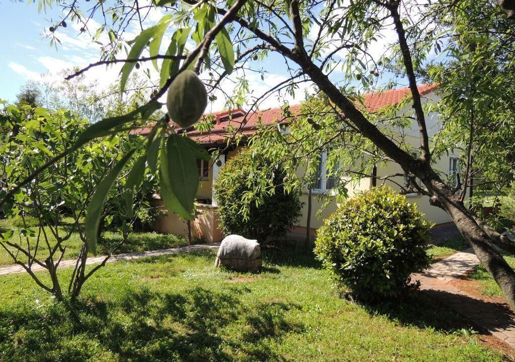 Photo of Outdoor in Vrvari
