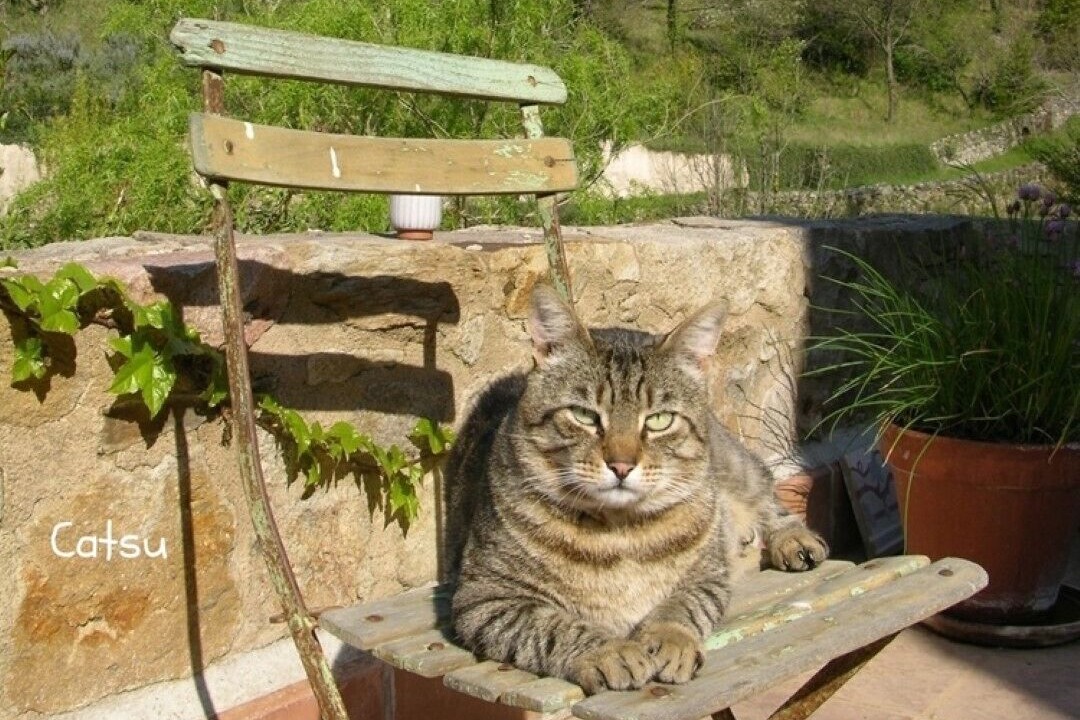 Photo of Outdoor in Graissessac