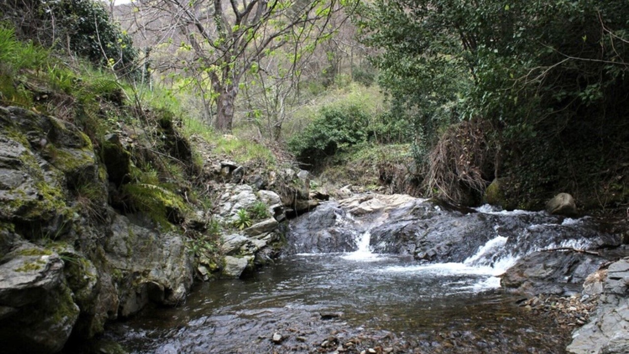 Photo of Outdoor in Graissessac