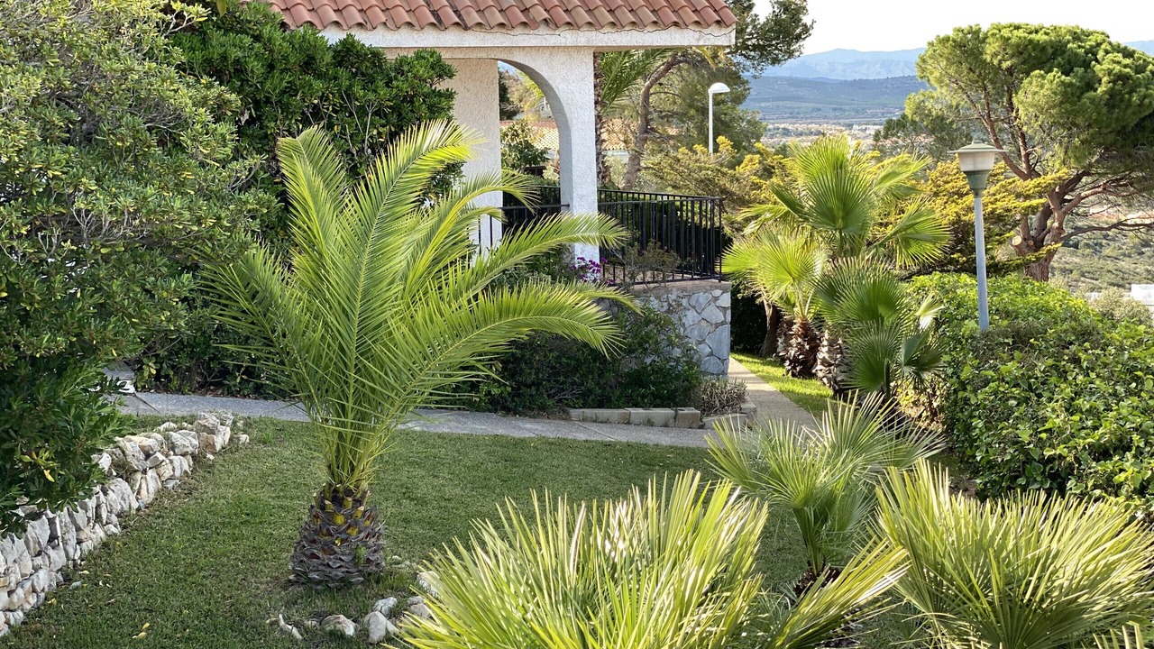 Photo of Outdoor in Peniscola