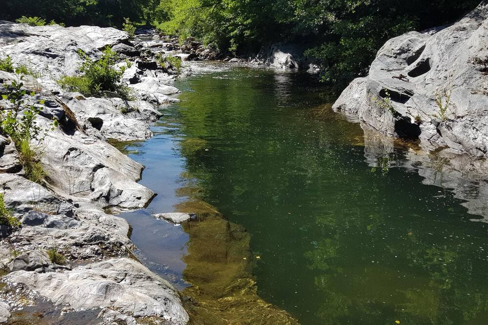 Photo of Others in St Gervais sur Mare