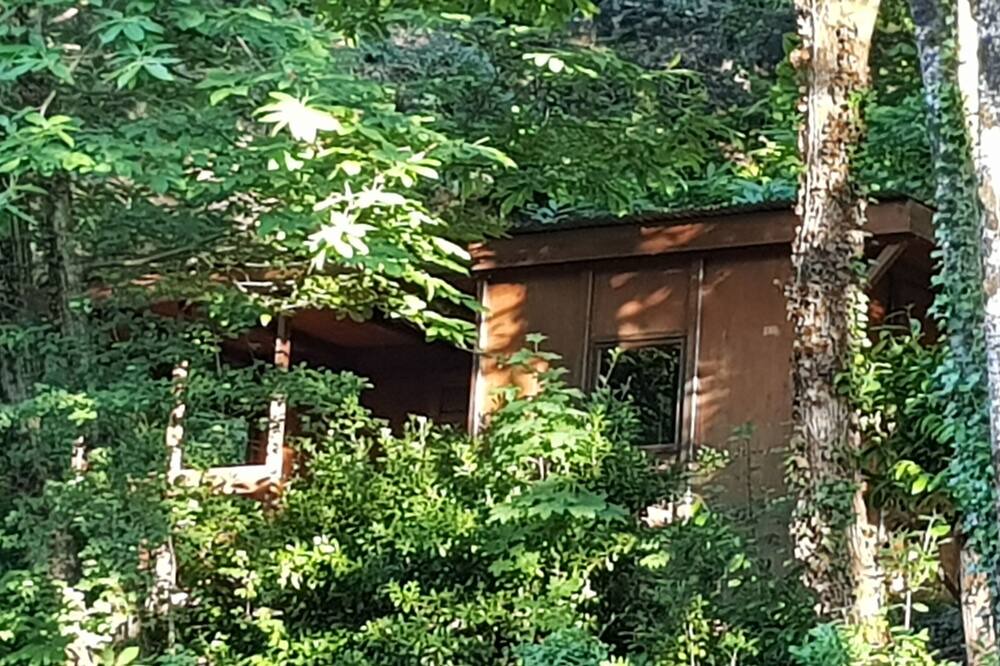 Photo of Others in St Gervais sur Mare